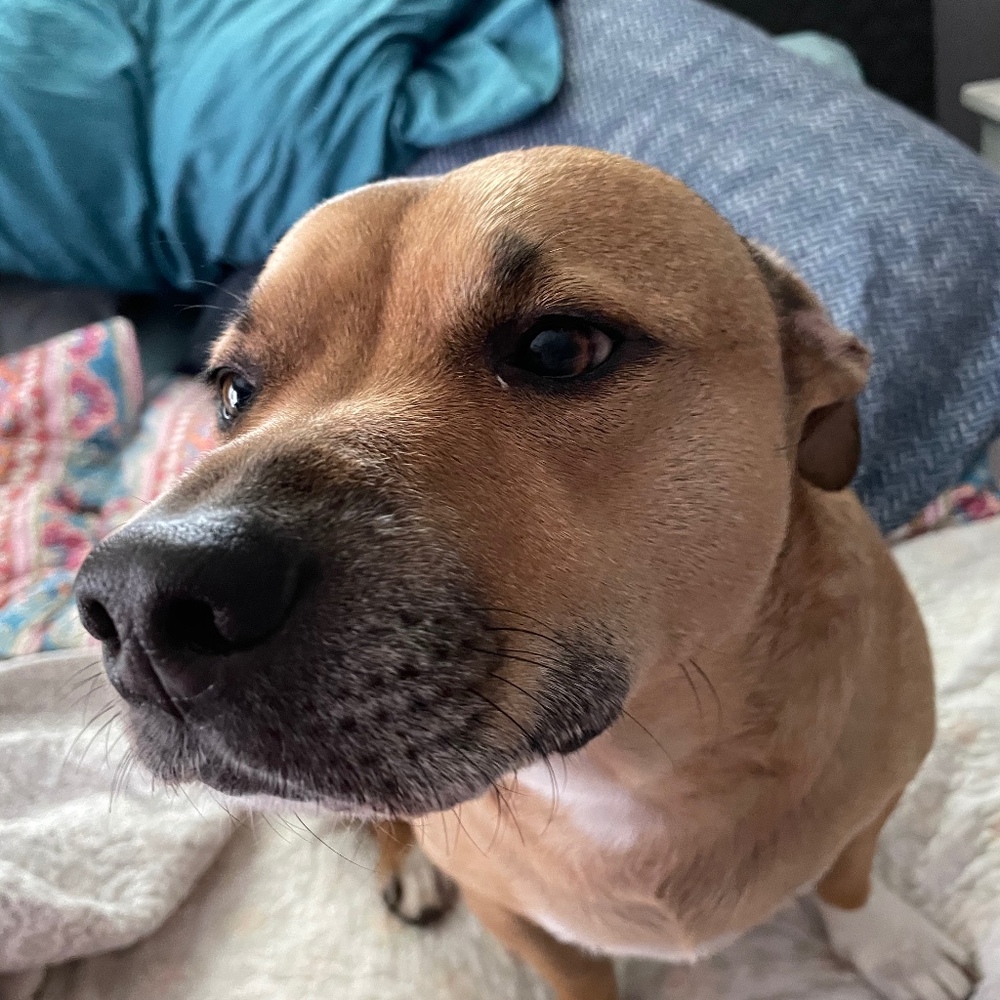 Meet your Posher, Posh